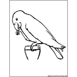 Página para colorir: Papagaio (animais) #16241 - Páginas para Colorir Imprimíveis Gratuitamente
