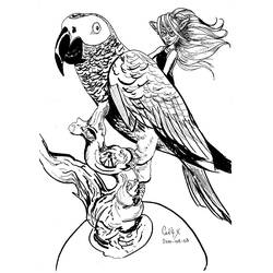 Página para colorir: Papagaio (animais) #16242 - Páginas para Colorir Imprimíveis Gratuitamente
