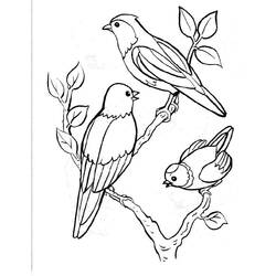 Página para colorir: pássaros (animais) #11841 - Páginas para Colorir Imprimíveis Gratuitamente