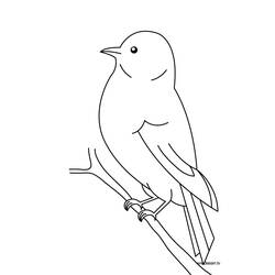 Página para colorir: pássaros (animais) #11844 - Páginas para Colorir Imprimíveis Gratuitamente