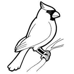 Página para colorir: pássaros (animais) #11846 - Páginas para Colorir Imprimíveis Gratuitamente