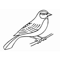 Página para colorir: pássaros (animais) #11861 - Páginas para Colorir Imprimíveis Gratuitamente