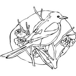 Página para colorir: pássaros (animais) #11888 - Páginas para Colorir Imprimíveis Gratuitamente