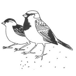 Página para colorir: pássaros (animais) #11903 - Páginas para Colorir Imprimíveis Gratuitamente