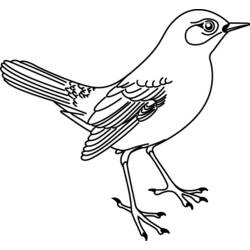 Página para colorir: pássaros (animais) #11913 - Páginas para Colorir Imprimíveis Gratuitamente