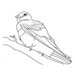 Página para colorir: pássaros (animais) #11962 - Páginas para Colorir Imprimíveis Gratuitamente