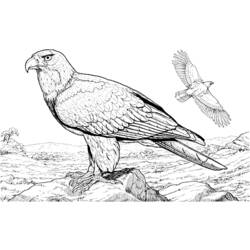 Página para colorir: pássaros (animais) #12051 - Páginas para Colorir Imprimíveis Gratuitamente