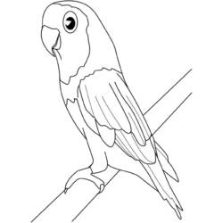 Página para colorir: pássaros (animais) #12084 - Páginas para Colorir Imprimíveis Gratuitamente
