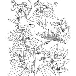 Página para colorir: pássaros (animais) #12108 - Páginas para Colorir Imprimíveis Gratuitamente