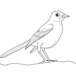 Página para colorir: pássaros (animais) #12131 - Páginas para Colorir Imprimíveis Gratuitamente