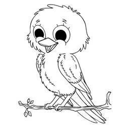 Desenho Pássaros (Animais) #175006 para imprimir e colorir