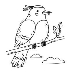 Desenho Pássaros (Animais) #215835 para imprimir e colorir