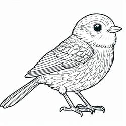 Desenho Pássaros (Animais) #215837 para imprimir e colorir