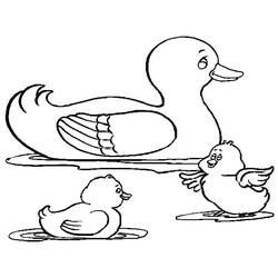 Página para colorir: Pato (animais) #1445 - Páginas para Colorir Imprimíveis Gratuitamente