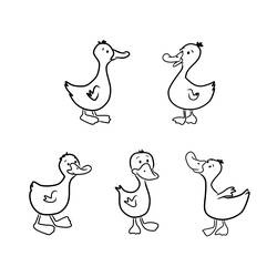 Página para colorir: Pato (animais) #1446 - Páginas para Colorir Imprimíveis Gratuitamente