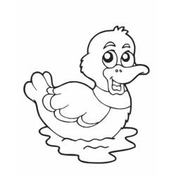 Página para colorir: Pato (animais) #1454 - Páginas para Colorir Imprimíveis Gratuitamente