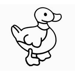Página para colorir: Pato (animais) #1464 - Páginas para Colorir Imprimíveis Gratuitamente