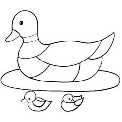 Página para colorir: Pato (animais) #1477 - Páginas para Colorir Imprimíveis Gratuitamente