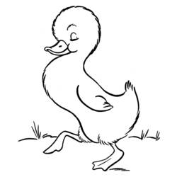 Página para colorir: Pato (animais) #1479 - Páginas para Colorir Imprimíveis Gratuitamente