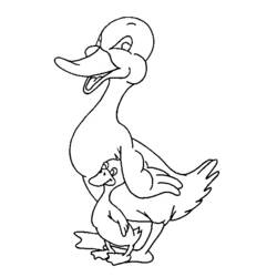 Página para colorir: Pato (animais) #1510 - Páginas para Colorir Imprimíveis Gratuitamente