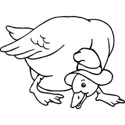 Página para colorir: Pato (animais) #1539 - Páginas para Colorir Imprimíveis Gratuitamente