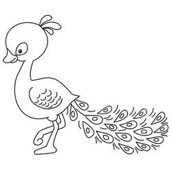 Desenho Pavão (Animais) #197578 para imprimir e colorir