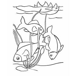 Desenho Peixe (Animais) #175179 para imprimir e colorir