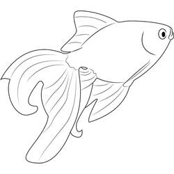 Desenho Peixe Dourado (Animais) #208309 para imprimir e colorir