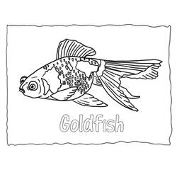 Desenho Peixe Dourado (Animais) #208321 para imprimir e colorir