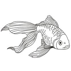 Desenho Peixe Dourado (Animais) #208326 para imprimir e colorir