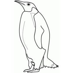 Página para colorir: Pinguim (animais) #16842 - Páginas para Colorir Imprimíveis Gratuitamente