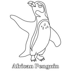 Página para colorir: Pinguim (animais) #16847 - Páginas para Colorir Imprimíveis Gratuitamente
