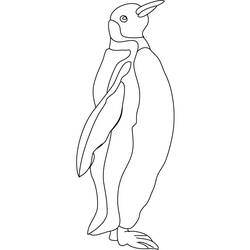 Página para colorir: Pinguim (animais) #16860 - Páginas para Colorir Imprimíveis Gratuitamente