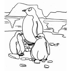 Página para colorir: Pinguim (animais) #16876 - Páginas para Colorir Imprimíveis Gratuitamente