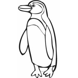 Página para colorir: Pinguim (animais) #16877 - Páginas para Colorir Imprimíveis Gratuitamente
