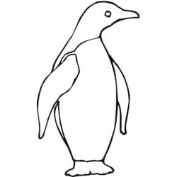 Página para colorir: Pinguim (animais) #16900 - Páginas para Colorir Imprimíveis Gratuitamente