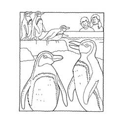 Página para colorir: Pinguim (animais) #16901 - Páginas para Colorir Imprimíveis Gratuitamente