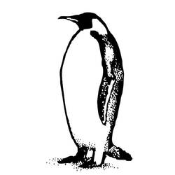 Página para colorir: Pinguim (animais) #16905 - Páginas para Colorir Imprimíveis Gratuitamente