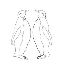 Página para colorir: Pinguim (animais) #16950 - Páginas para Colorir Imprimíveis Gratuitamente