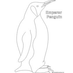 Página para colorir: Pinguim (animais) #16994 - Páginas para Colorir Imprimíveis Gratuitamente