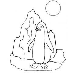 Desenho Pinguim (Animais) #186554 para imprimir e colorir