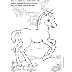 Página para colorir: Pónei (animais) #17997 - Páginas para Colorir Imprimíveis Gratuitamente