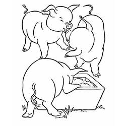 Desenho Porco (Animais) #191194 para imprimir e colorir