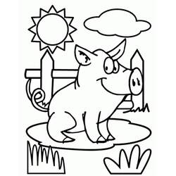 Desenho Porco (Animais) #191200 para imprimir e colorir