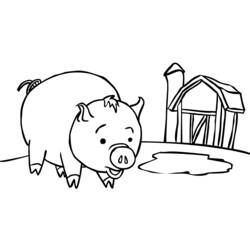 Página para colorir: Porco (animais) #3598 - Páginas para Colorir Imprimíveis Gratuitamente
