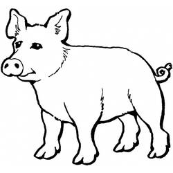 Página para colorir: Porco (animais) #3671 - Páginas para Colorir Imprimíveis Gratuitamente