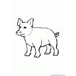 Página para colorir: Porco (animais) #3765 - Páginas para Colorir Imprimíveis Gratuitamente