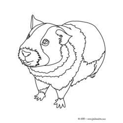 Página para colorir: porquinho da índia (animais) #18493 - Páginas para Colorir Imprimíveis Gratuitamente