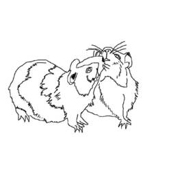 Página para colorir: porquinho da índia (animais) #18547 - Páginas para Colorir Imprimíveis Gratuitamente