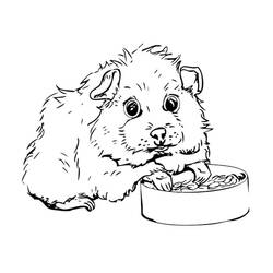 Página para colorir: Porquinho-da-índia (Animais) #211126 - Páginas para Colorir Imprimíveis Gratuitamente